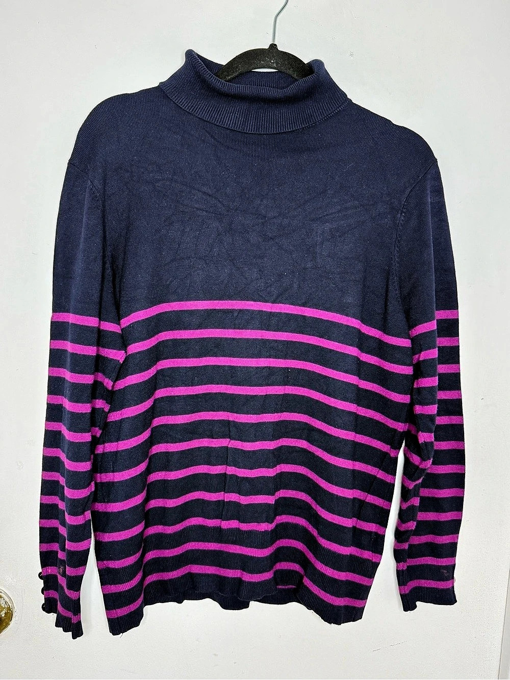 Gerard Striped Turtleneck in Blue & Pink Large